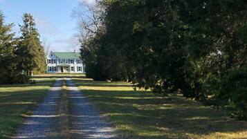 A gravel driveway leading to a large white building with a green roof, surrounded by dense trees.