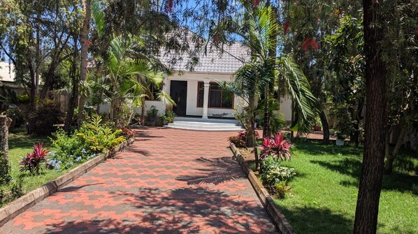 Un sendero pavimentado conduce a un edificio de fachada blanca y columnas, rodeado de exuberante vegetación y diversas plantas.