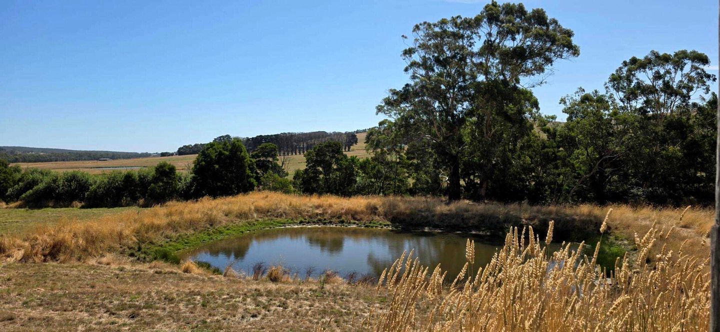 A natural landscape with a pond, trees, and dry grass.