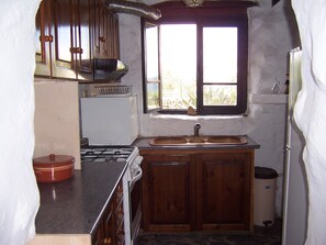 Cocina compacta con estufa a gas, un lavabo y armarios de madera.