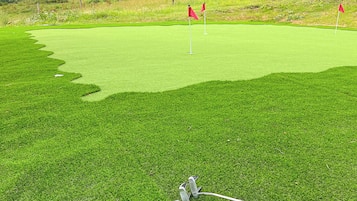 Een golfbaan met een putting green, een vlag en een golfclub.