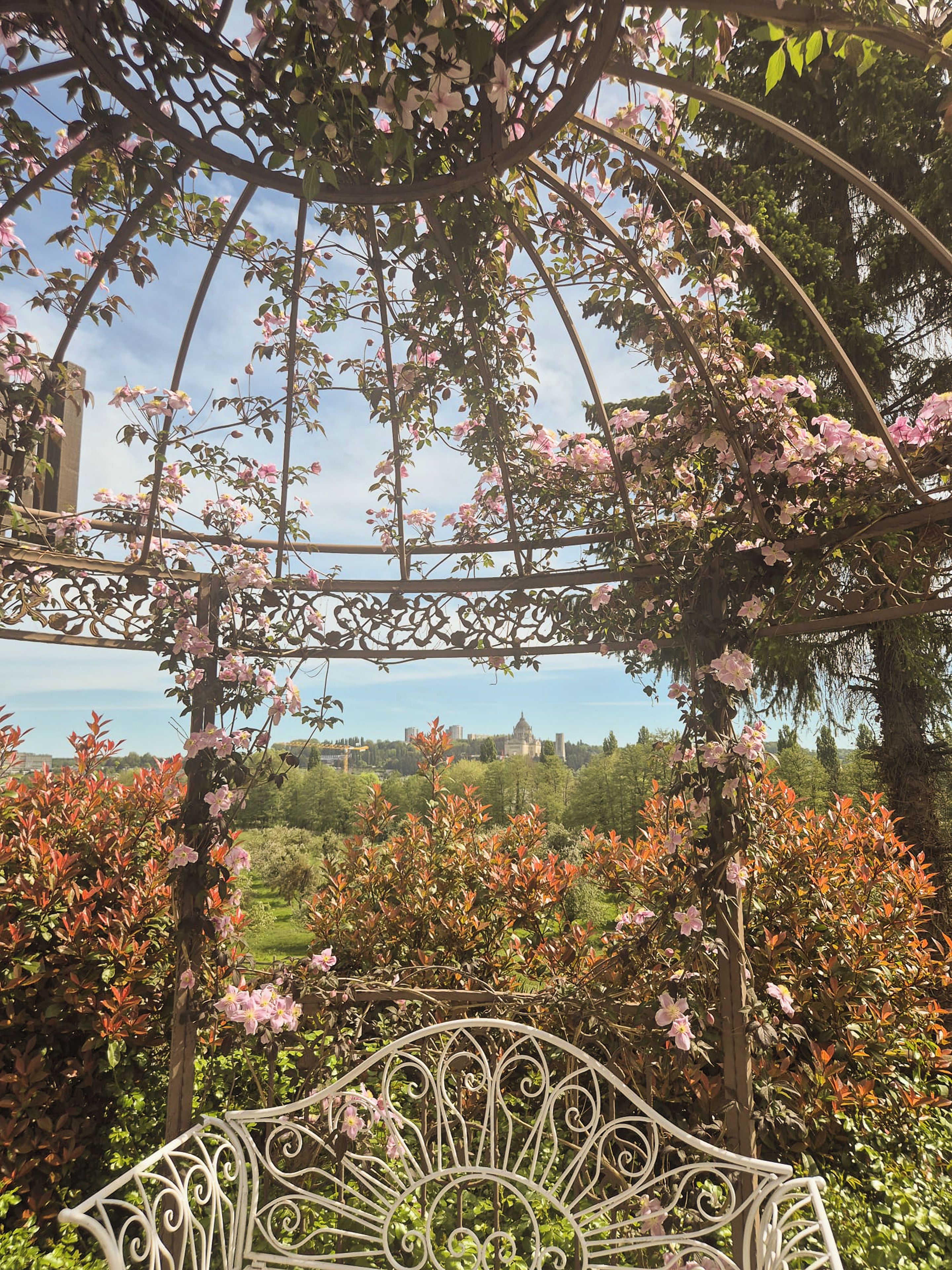 A garden with a metal trellis structure and flowering plants.