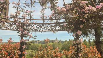 A garden with a metal trellis structure and flowering plants.