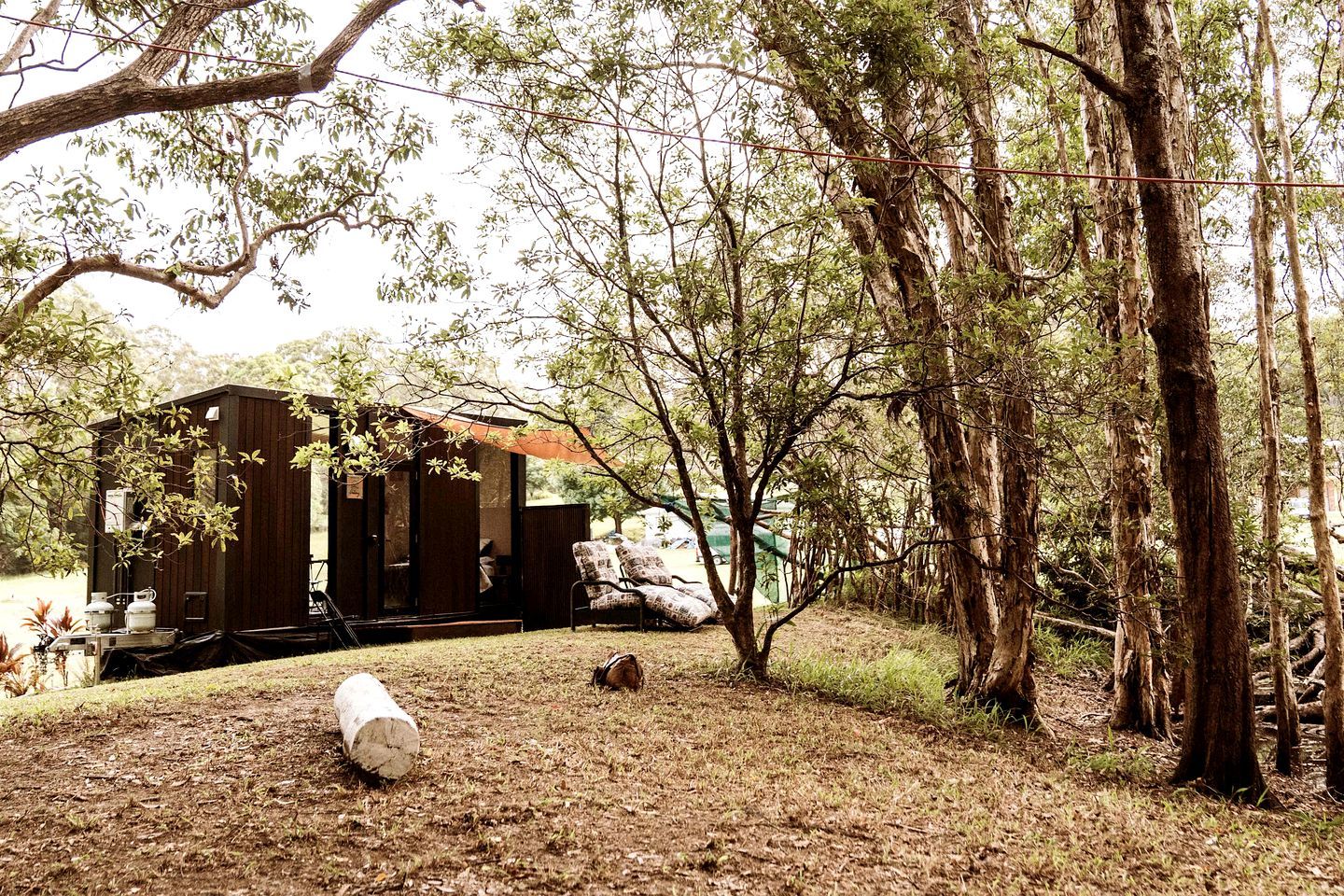 A rustic cabin with a covered porch, surrounded by trees and a grassy area.