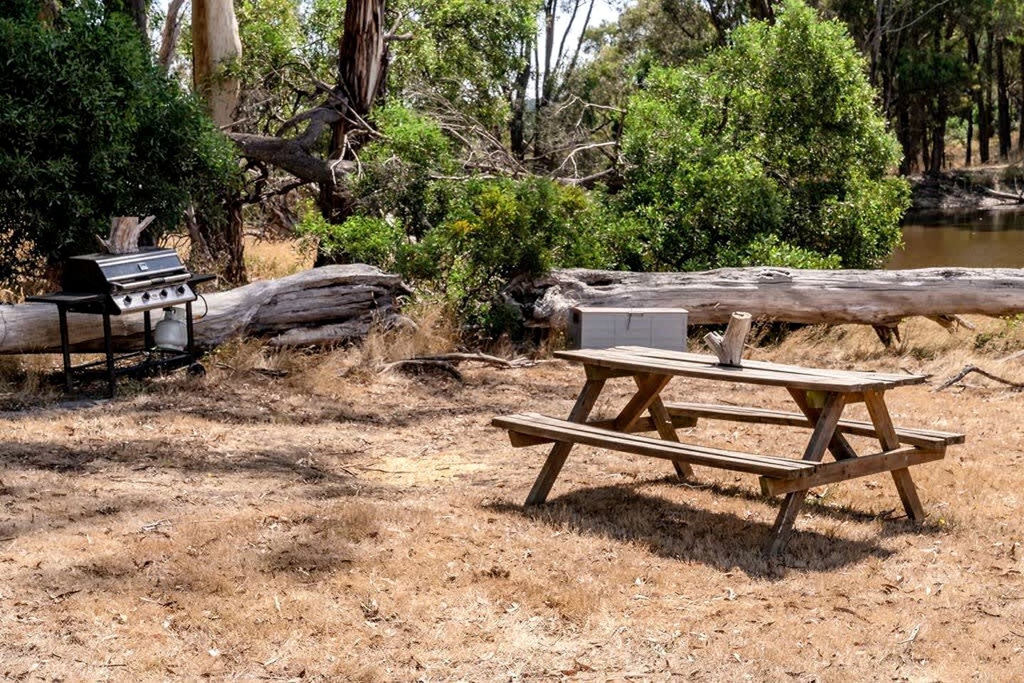 A picnic table and a barbecue grill in a natural setting with trees and a log.