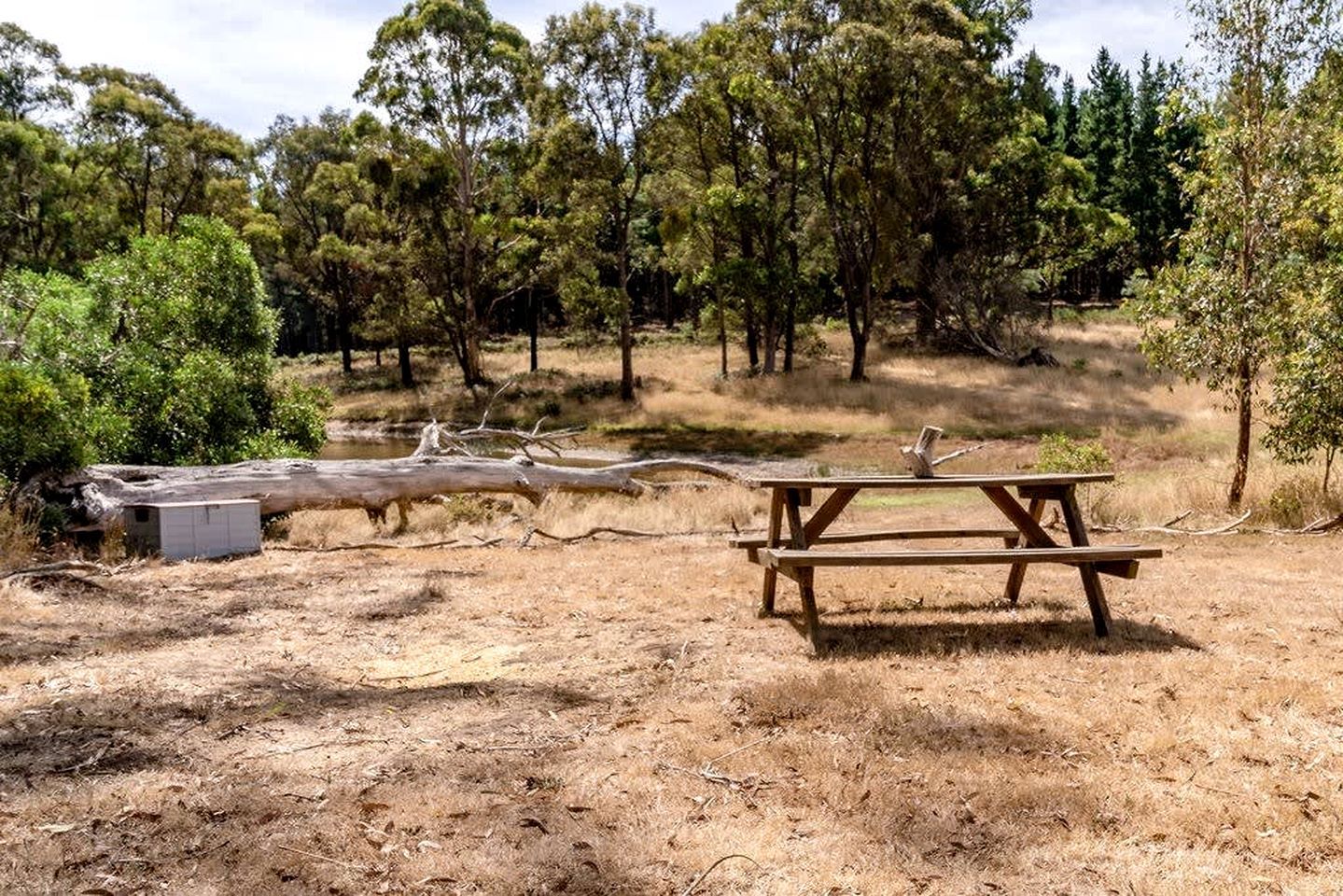 A picnic table in a natural setting with trees and a fallen tree trunk nearby.
