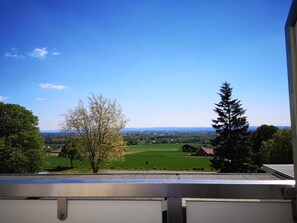 Nicht klassifiziertes Bild, 2 von 58, Schaltfläche