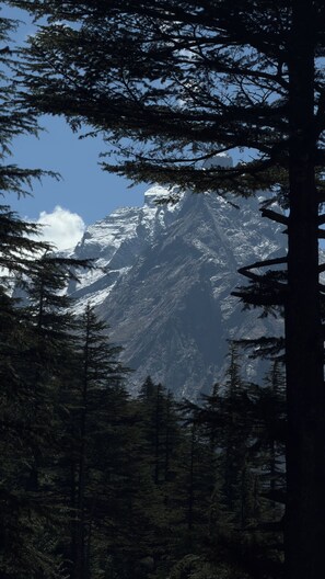 A mountainous landscape with dense forest in the foreground.