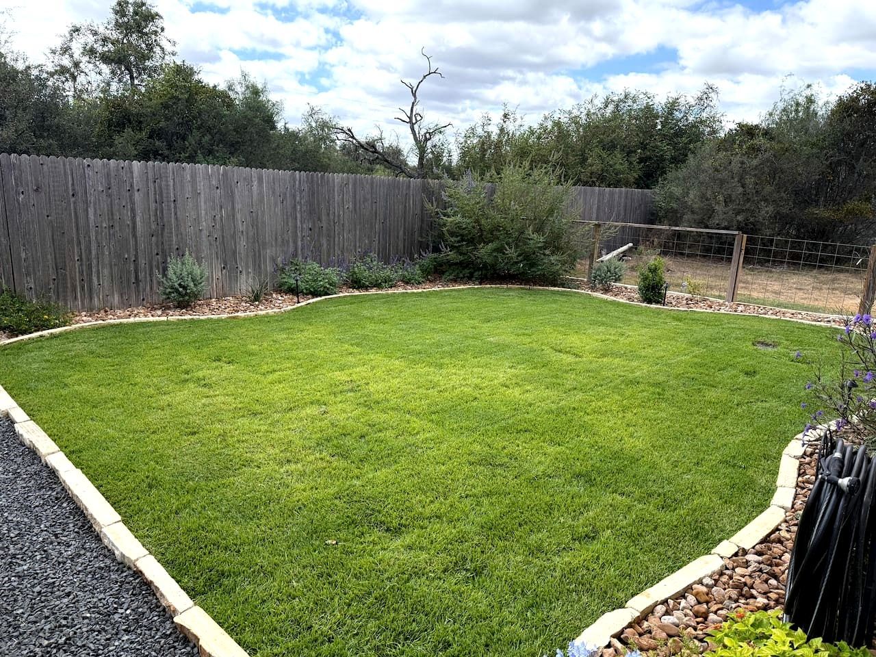 A well-maintained backyard with a wooden fence, a grassy lawn, and a garden bed with plants.