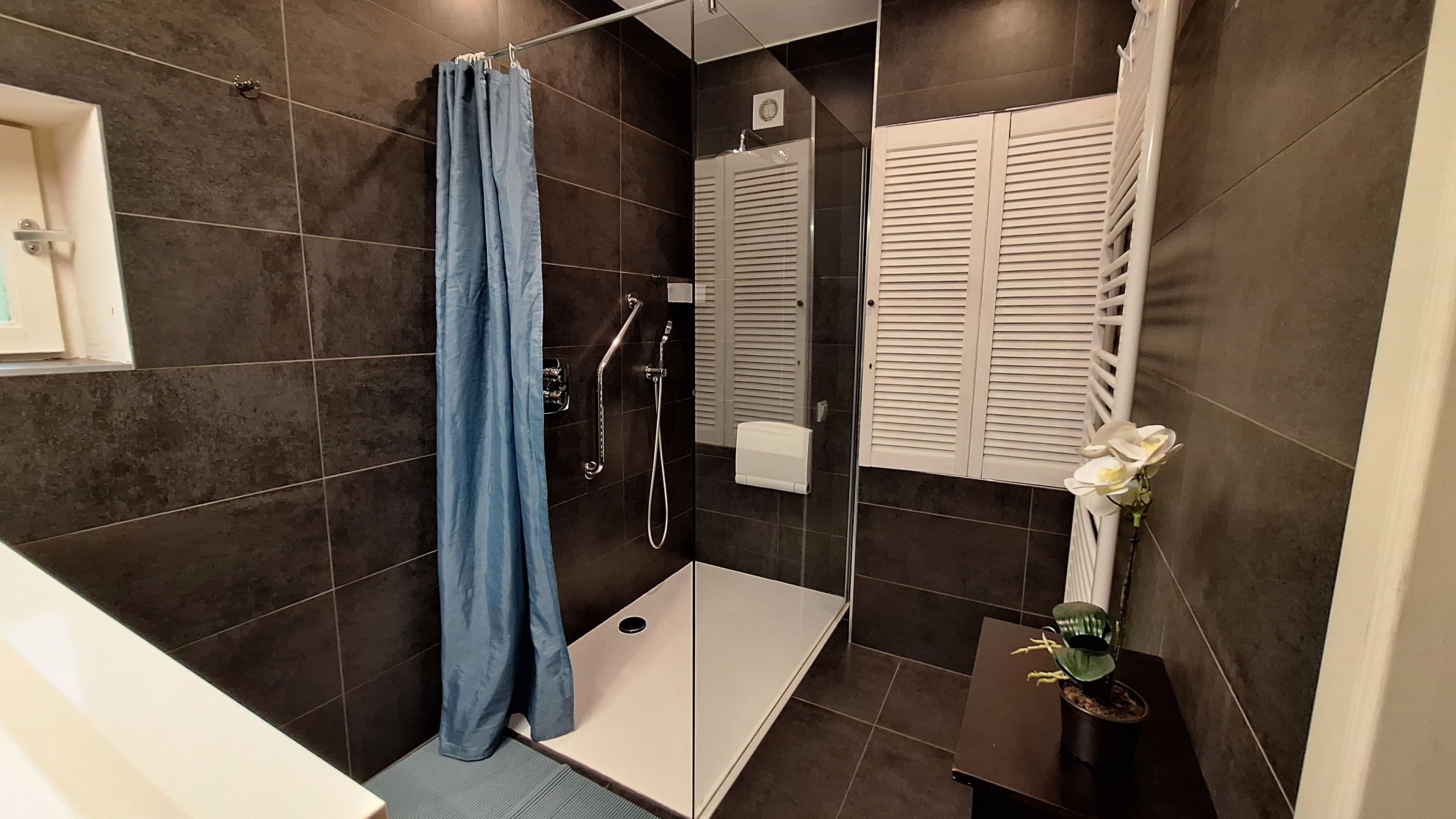 Een moderne badkamer met donkere tegels, een glazen douchecabine, een witte zeepdispenser en een potplant.