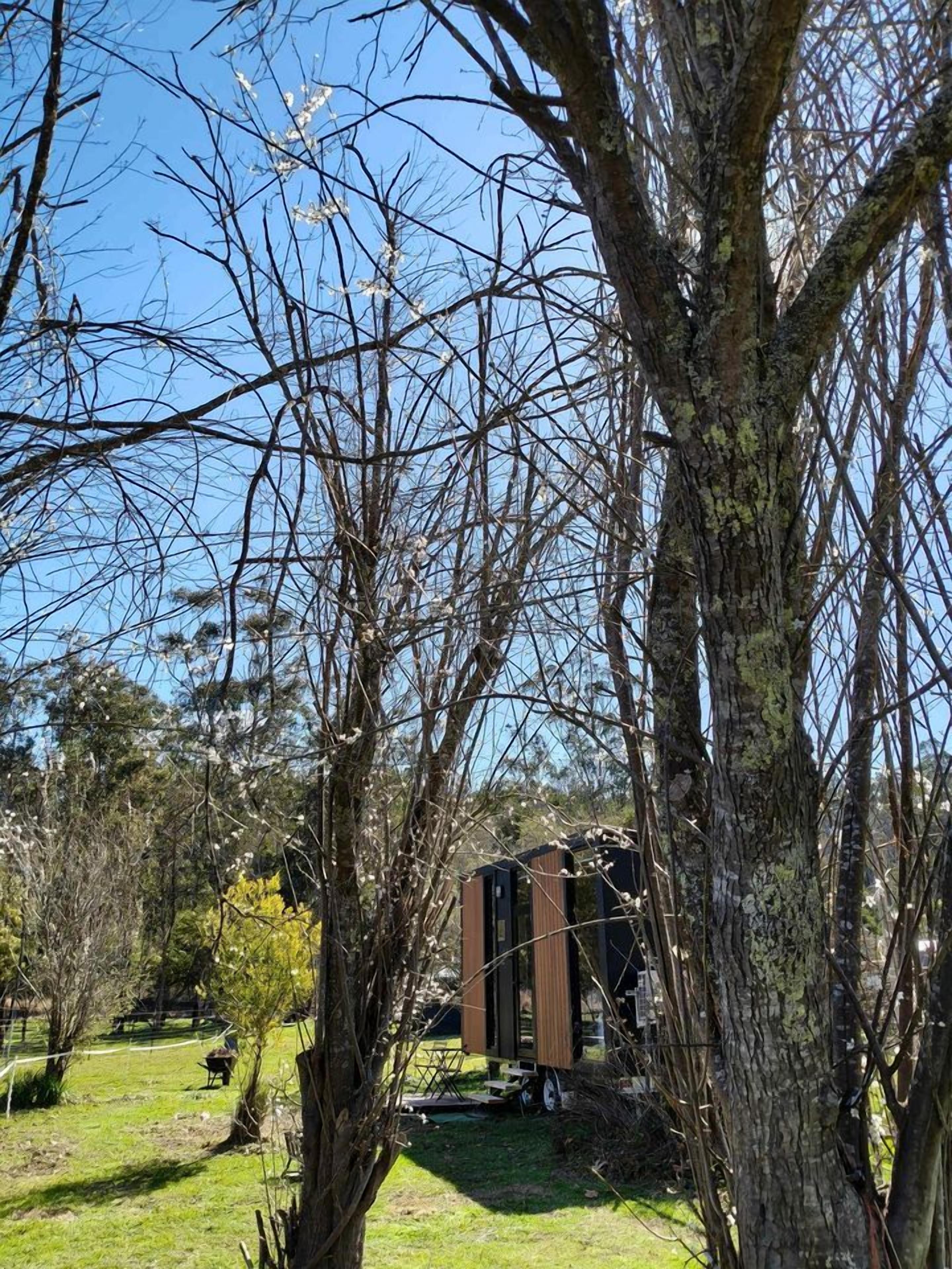Un espace extérieur bordé d’arbres, avec une structure de bâtiment moderne.
