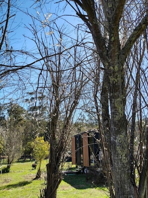 A tree-lined outdoor area with a modern building structure.