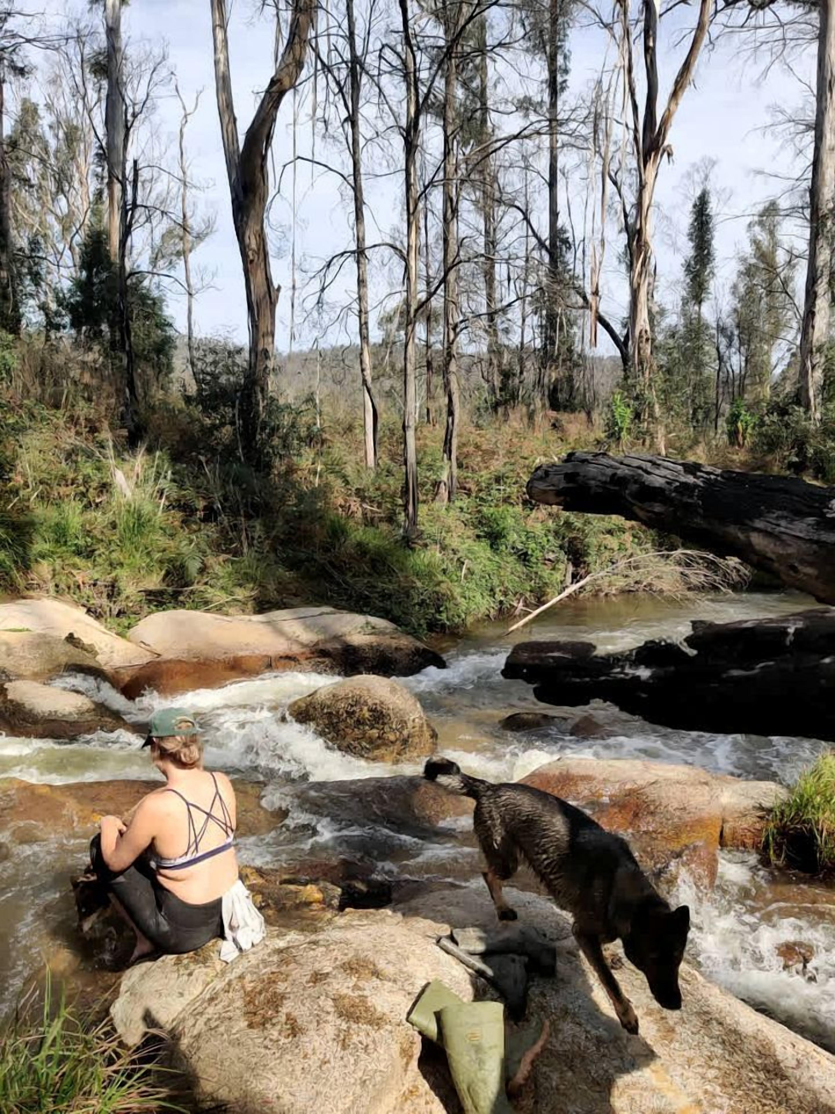 A natural outdoor setting with a stream, rocks, and trees.