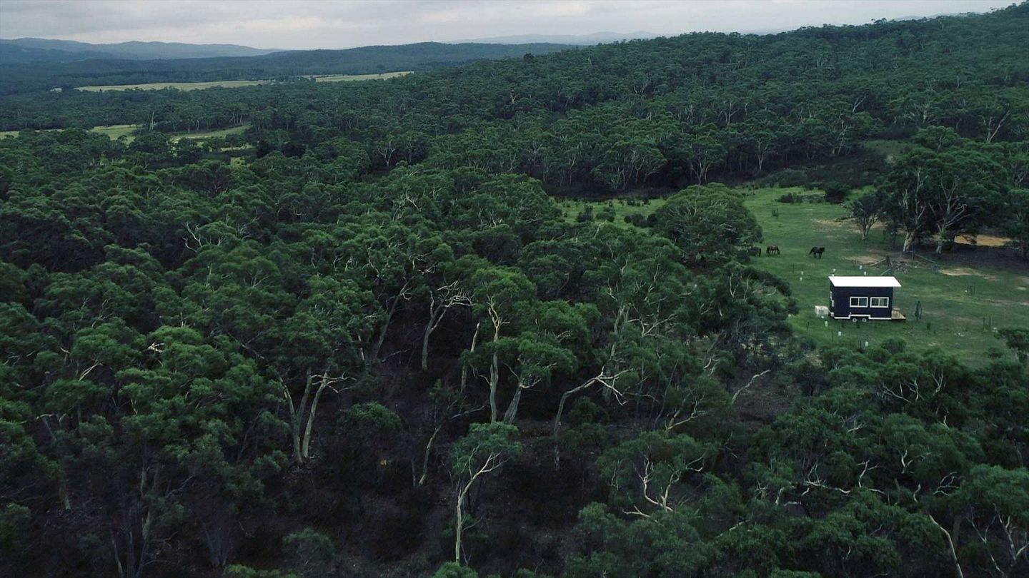 Un chalet isolé, entouré d’une forêt dense, offrant une vue dégagée sur le paysage environnant.