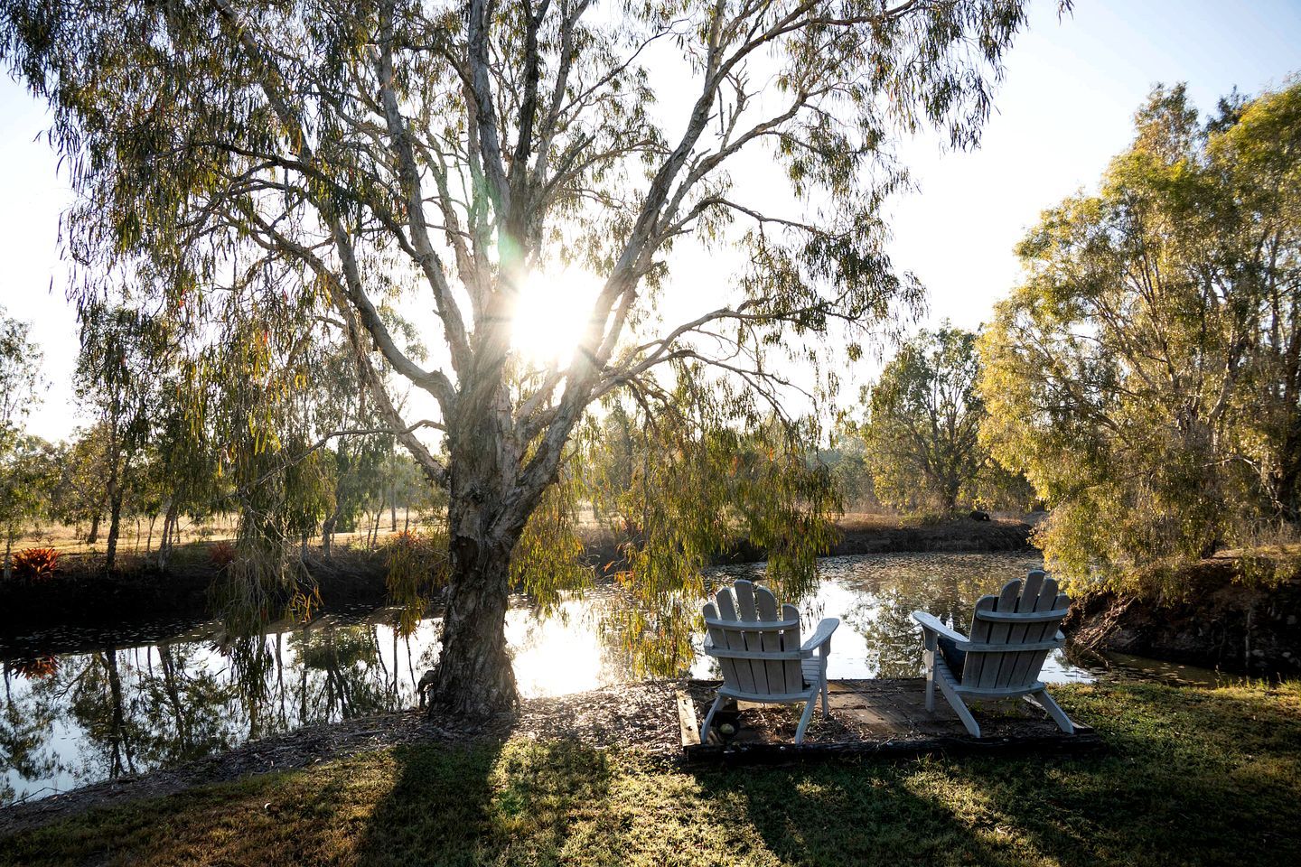 A serene outdoor setting with a large tree, two Adirondack chairs, and a calm body of water.