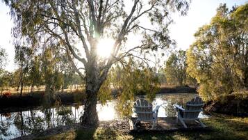 A serene outdoor setting with a large tree, two Adirondack chairs, and a calm body of water.