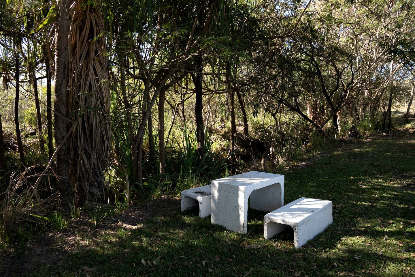 Two concrete benches in a natural setting with trees and grass.
