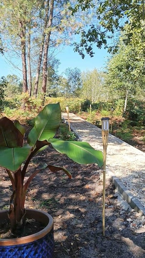 Ngoại thất