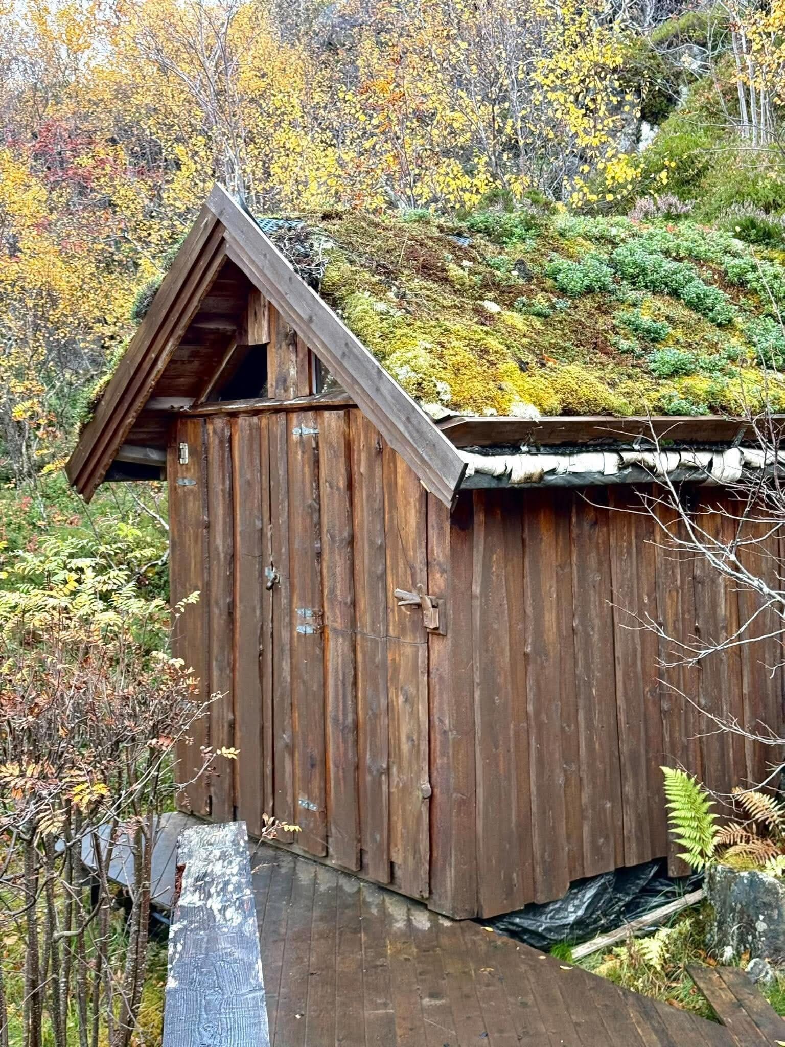 Eksteriør