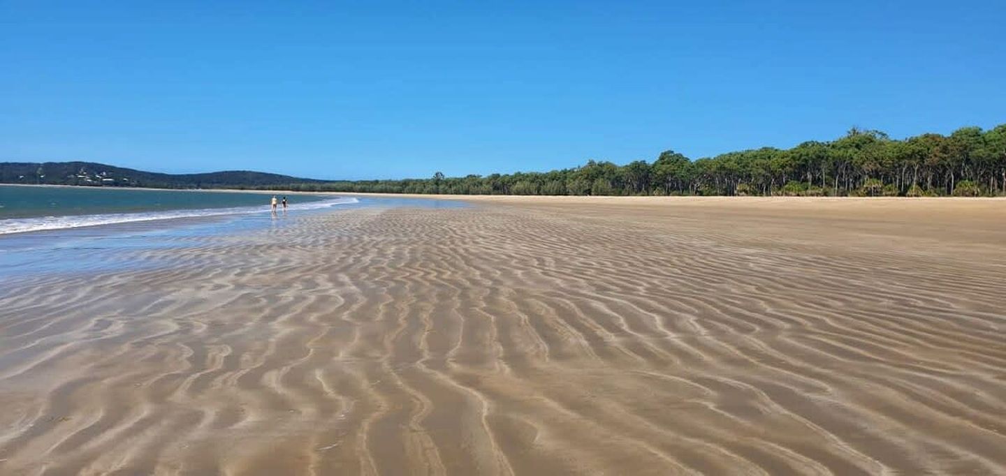 Une plage avec une vaste étendue de sable et une rangée d’arbres en arrière-plan.