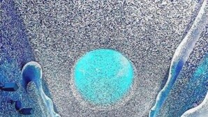 Unclassified image, 2 of 27, button - Camera Matrimoniale accogliente - Self Check In - Centro storico Napoli (Napoli)