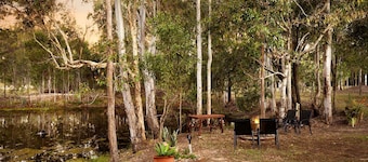 Charming Tiny House with Farm Animals and Pool near Bundaberg, South Kolan QLD