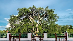Ảnh chưa phân loại, 3 trong số 66 ảnh, nút