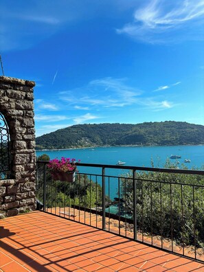 A terrace with a stone wall, a metal railing, and a view of a lake with boats and a hilly landscape in the background. - Private sea-view garden near Portovenere (Portovenere)