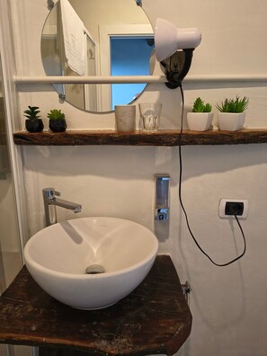 A bathroom with a white sink, a mirror, a hairdryer, and two potted plants on a wooden shelf.