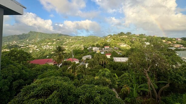 Unclassified image, 1 of 7, button - Amby's Grenada with AC (Mount Helicon)