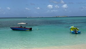 Unclassified image, 2 of 7, button - Amby's Grenada with AC (Mount Helicon)