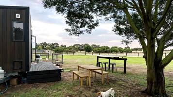 Un terrazza in legno con tavolo e sedie, un cane che gioca e un albero sullo sfondo.