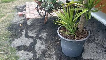 A potted plant with a tree trunk, a wheelbarrow with plants, and a brick table with chairs in a garden area.