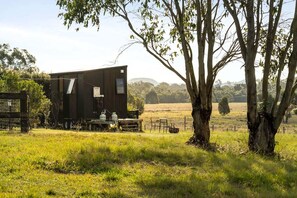 Unclassified image, 2 of 19, button - Serene Tiny Home Retreat with Farm Views, Near Noosa Heads in Tuchekoi, Queensland (Traveston)