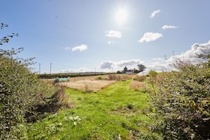 Ländliche Landschaft mit blauem Himmel, einem grasbewachsen Pfad und einem weißen Gebäude in der Ferne.