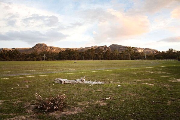 Un campo abierto con un tronco de árbol grande en primer plano, una cerca al fondo y montañas en la distancia.