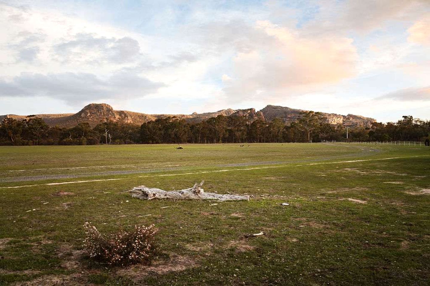 An open field with a large tree trunk in the foreground, a fence in the background, and mountains in the distance.