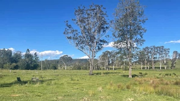 A grassy field with trees and a clear sky. - Tiny Home with Mountain Views & Cozy Fireplace Retreat in Tunglebung, Australia (Tunglebung)