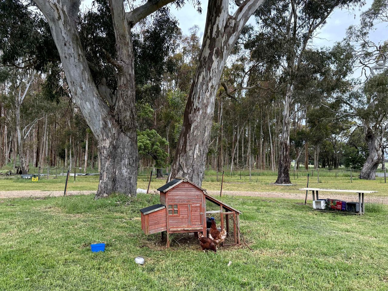 A wooden chicken coop in a grassy field with trees in the background.