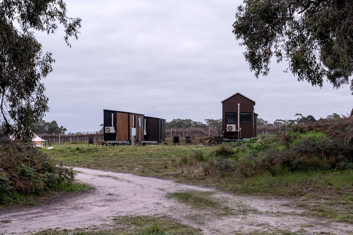 Un edificio moderno con techo plano y amplios ventanales, rodeado de vegetación natural y un sendero de tierra.