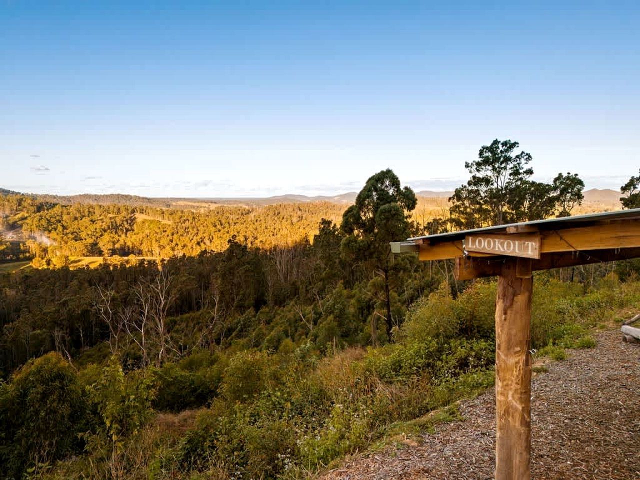 Un cartello indicatore con vista su un paesaggio boschivo.