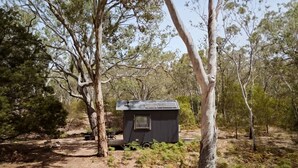 Una cabaña pequeña de un piso con techo inclinado, rodeada de árboles en un bosque.