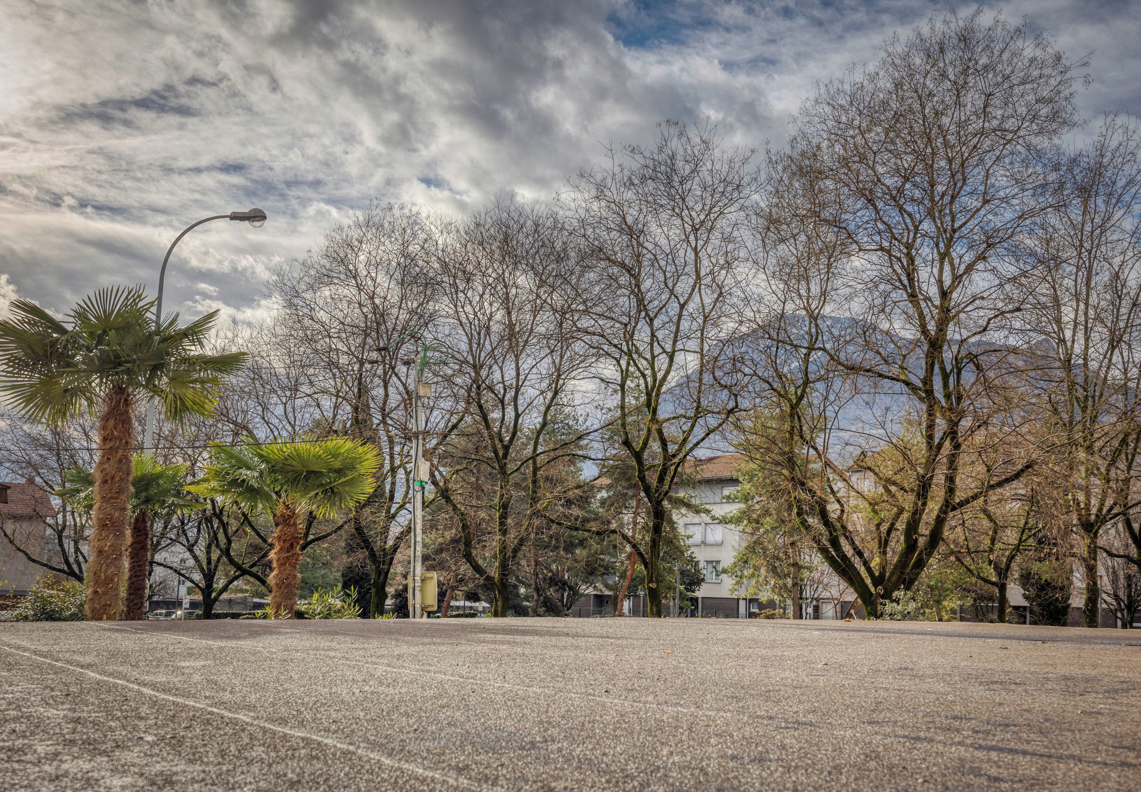 Una zona pavimentada con árboles y una farola.