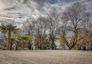 A paved area with trees and a street lamp.