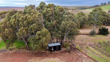 A rural landscape with a small building surrounded by eucalyptus trees.