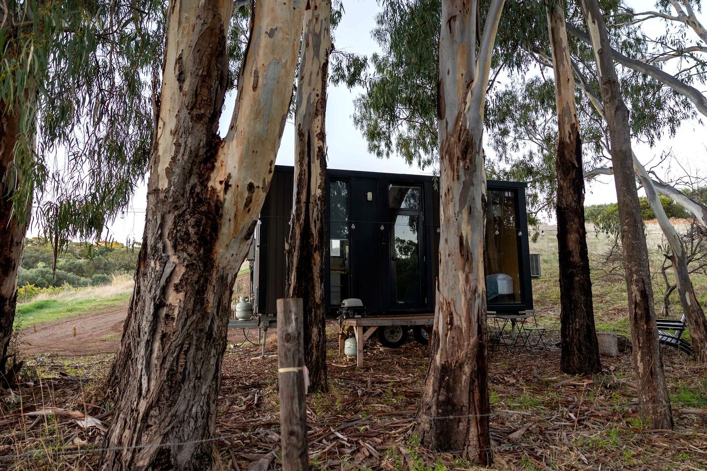 A small, black, single-room structure with a window and a door, surrounded by eucalyptus trees.