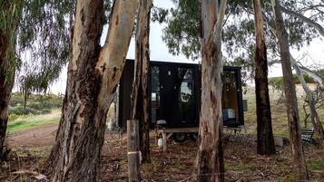 A small, black, single-room structure with a window and a door, surrounded by eucalyptus trees.