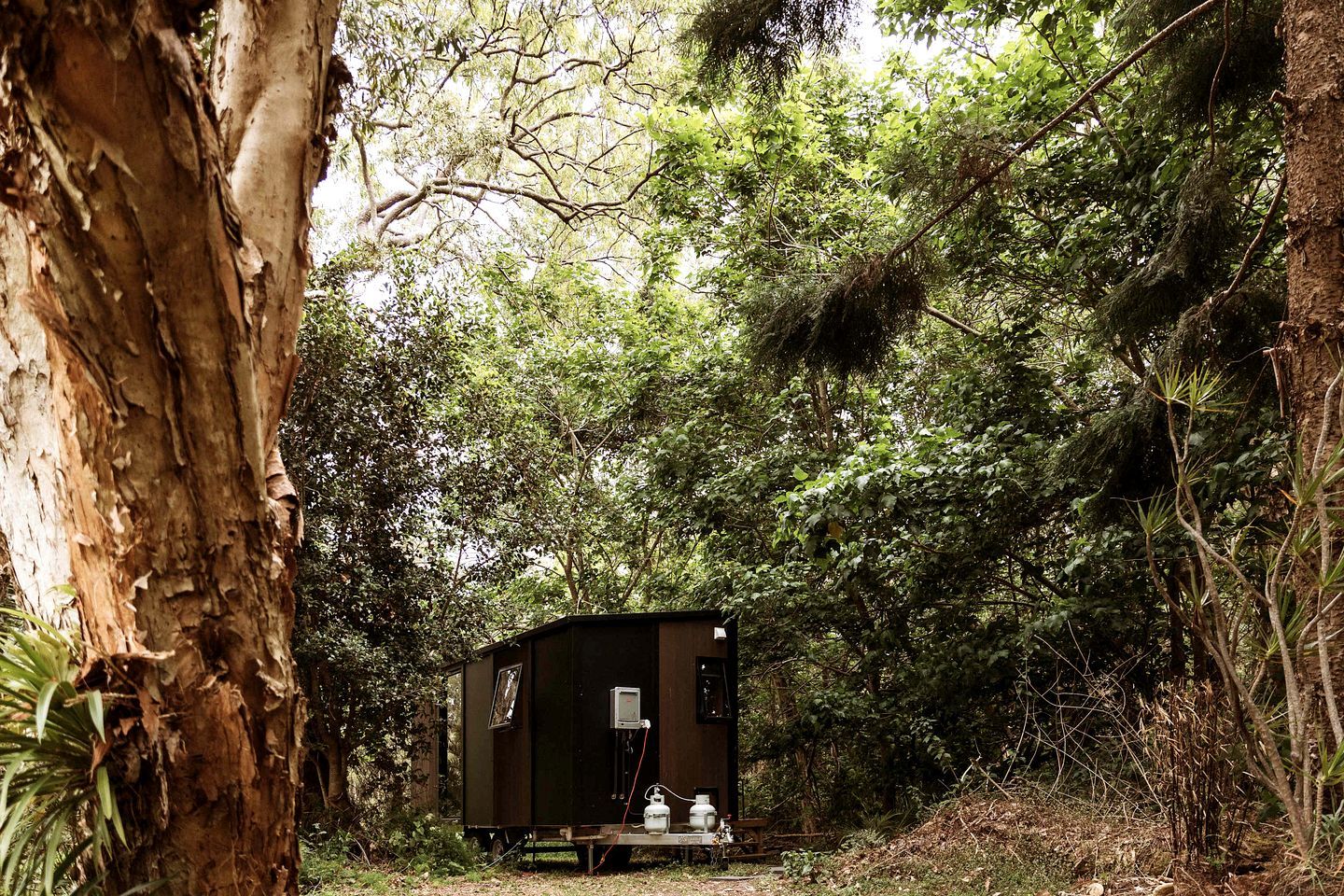 Une petite cabane de couleur sombre, dotée d’une seule fenêtre et d’une porte, entourée d’une forêt dense.