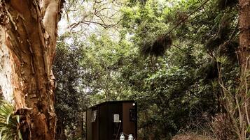 Une petite cabane de couleur sombre, dotée d’une seule fenêtre et d’une porte, entourée d’une forêt dense.