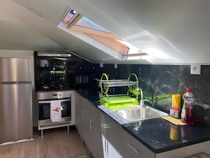 Une cuisine moderne dotée d’une verrière, d’appareils électroménagers en acier inoxydable et d’un égouttoir à vaisselle vert.